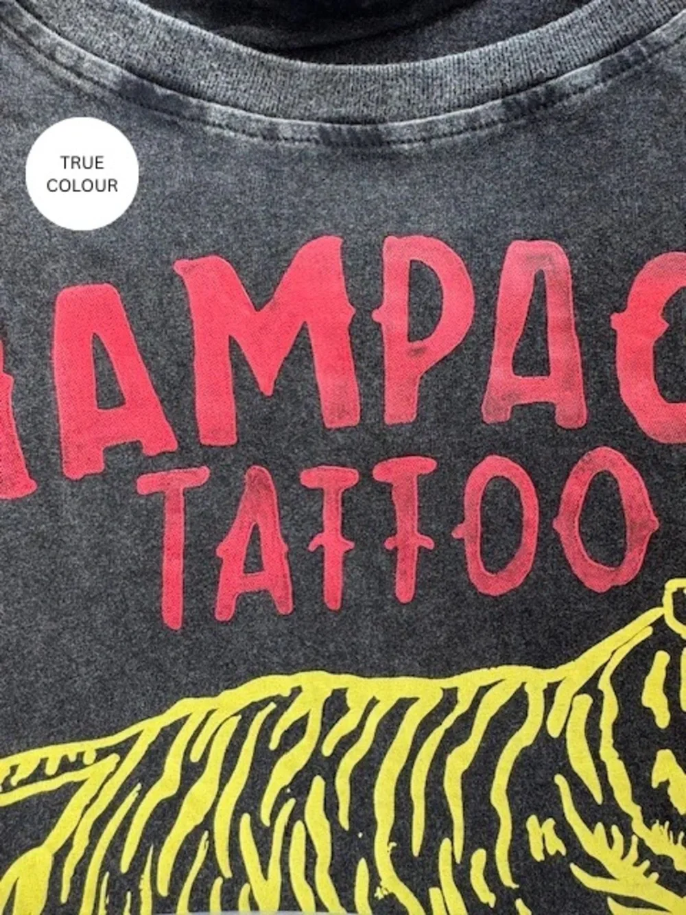 SABBI • THE VERY OVERSIZED CHAMPAGNE TATTOO TEE - Picture 4 of 7